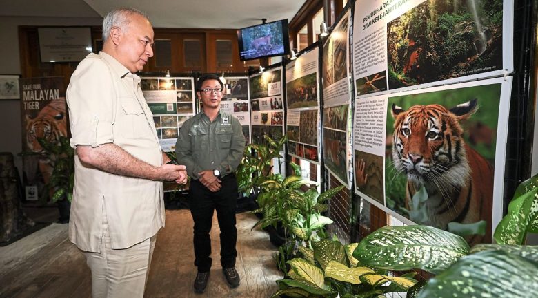 GERIK, 3 Ogos -- Sultan Perak Sultan Nazrin Shah berkenan meneliti maklumat mengenai harimau Malaya ketika melawat ruang pameran yang diadakan sempena sambutan Hari Harimau Sedunia (Global Tiger Day – GTD) 2023 anjuran WWF-Malaysia dan Yayasan Maybank di Belum Rainforest Resort hari ini.
-- fotoBERNAMA (2023) HAK CIPTA TERPELIHARA