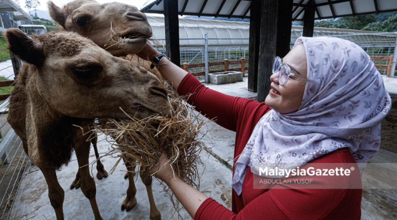 Rasai suasana santai dalam ladang di Agrotech Profarm