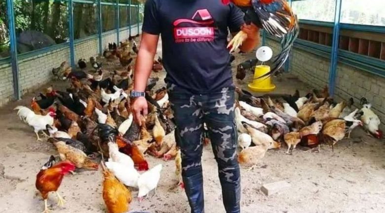 Bekas penjawat awam latih penternak ayam kampung