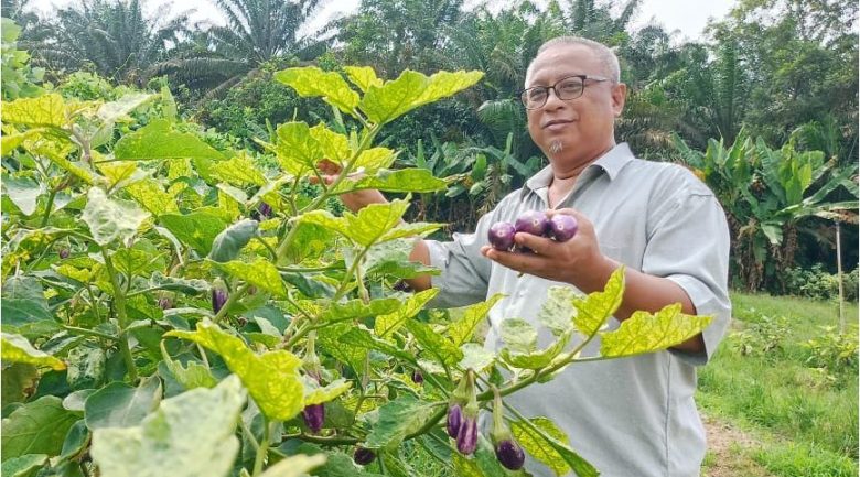 Pinjaman tanpa faedah SADC bantu Mahfud kembang pertanian
