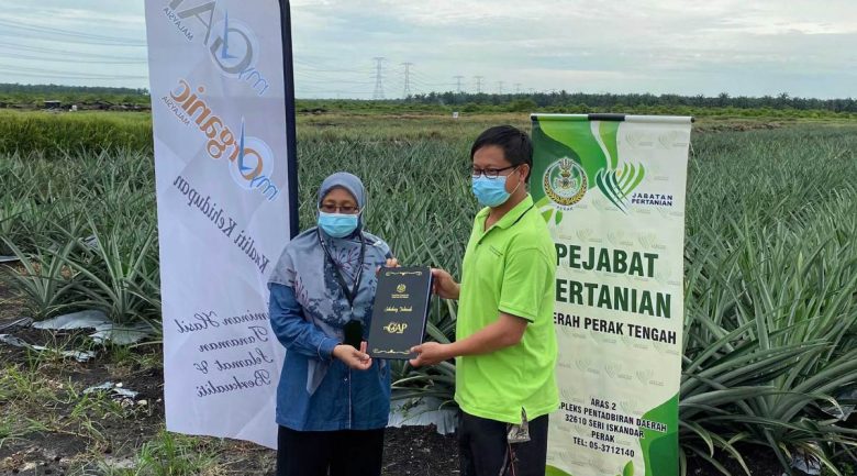 Rugi 30,000 pokok sebelum berjaya