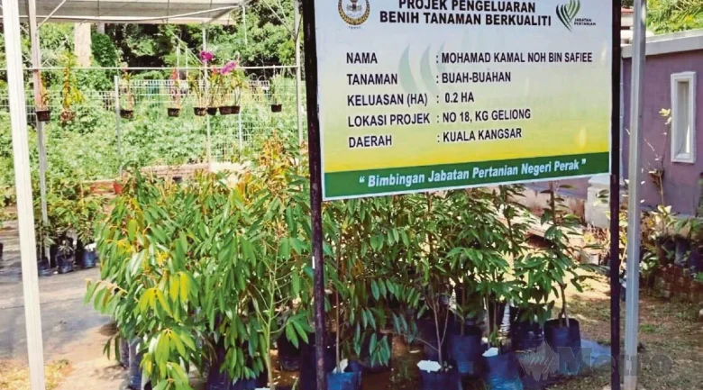 Sambung legasi pusat semaian buah tropika