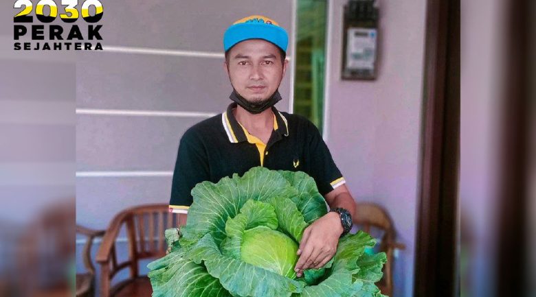 'Cangkul' rezeki dengan ulaman