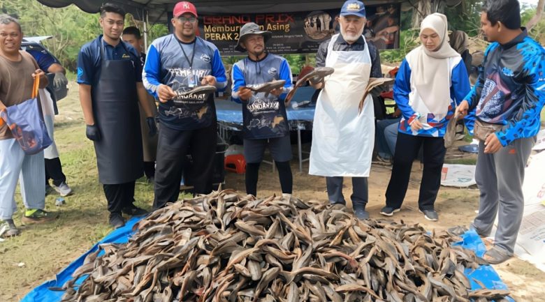'Grand prix' buru ikan asing bantu Perak pulihkan ekosistem sungai