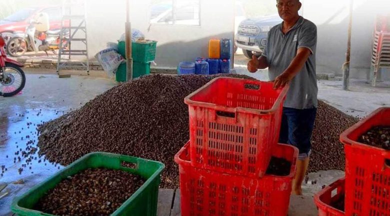 Kalau ke laut, adalah gaji