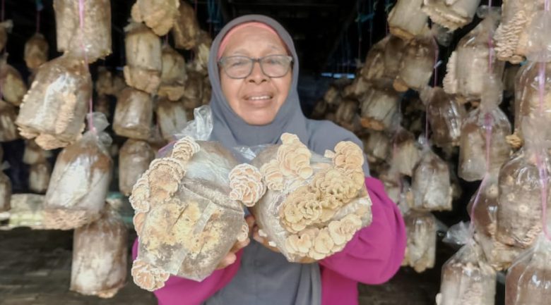 Pesara raih hasil lumayan tanam cendawan kukur