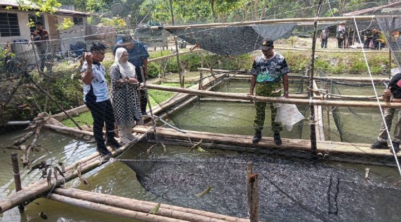Ternakan keli bantu kelangsungan hidup 14 anggota rela
