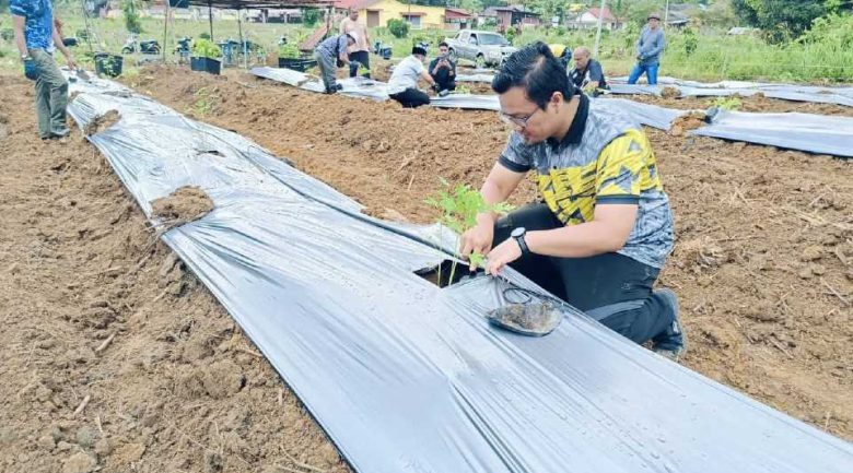 Pertanian komuniti tingkat ekonomi Kampung Selarong