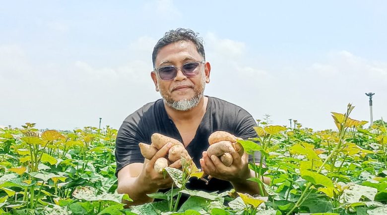 Dari industri kuari, kini Zaini jadi penanam ubi keledek, jagung, kelapa