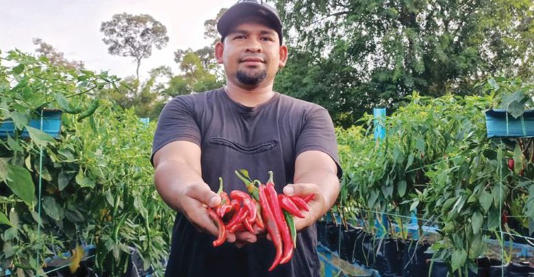 Kutip pengalaman di Australia, kembang pertanian di Perak