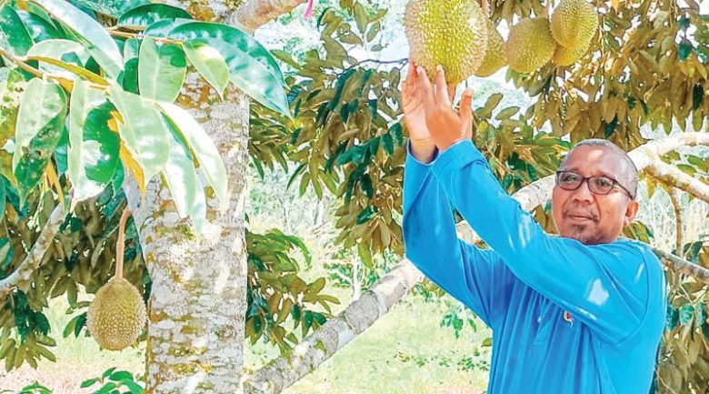Agro pelancongan tingkat pendapatan penoreh getah
